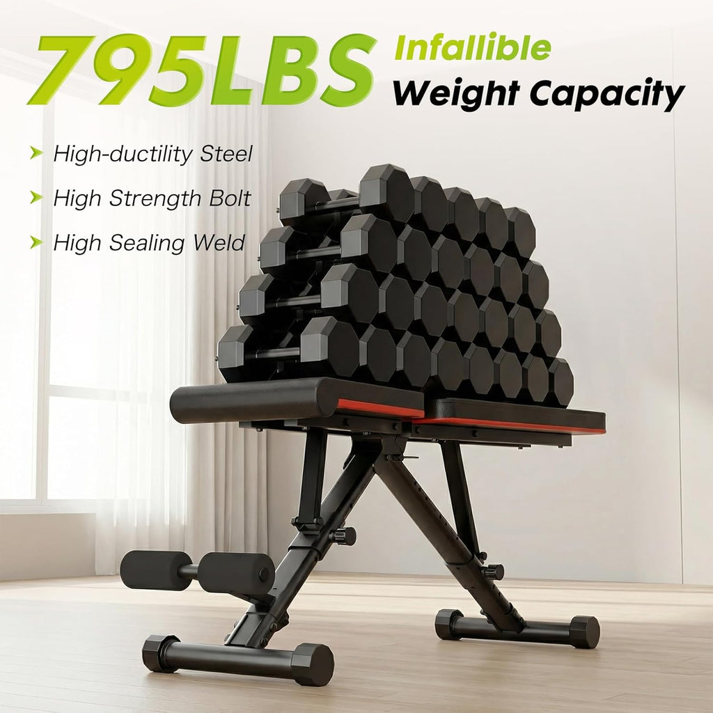 Adjustable Weight Bench for Full Body Workout